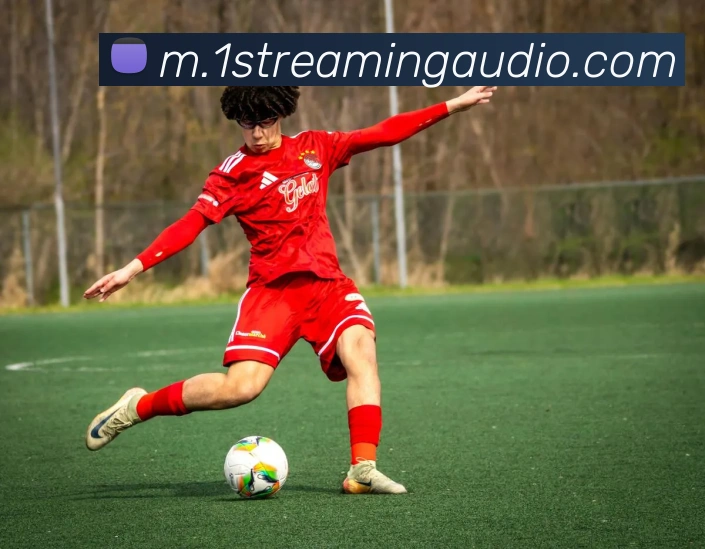多彩内容专区